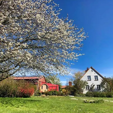 Lejlighed Einzigartiges Ferien-loft Auf Dem Treckerhof Lupendorf